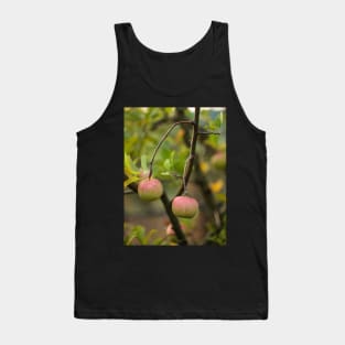 Closeup of ripe apples Tank Top